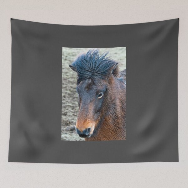 Artikelvorschau, Brown Icelandic Horse Close up entworfen und verkauft von Cameranick.