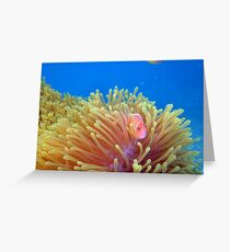 Anemone Forrest Greeting Card
