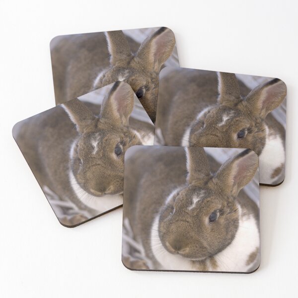 Item preview, Big bunny loves you designed and sold by JRHarshman.