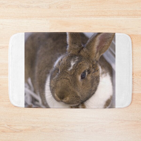 Item preview, Big bunny loves you designed and sold by JRHarshman.