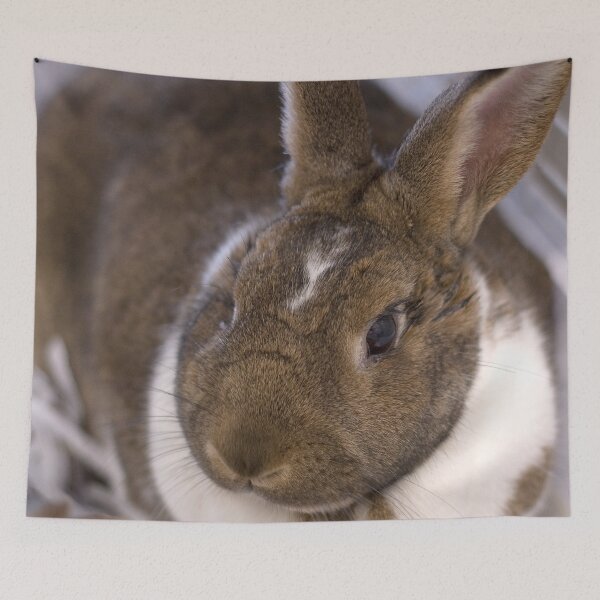 Item preview, Big bunny loves you designed and sold by JRHarshman.
