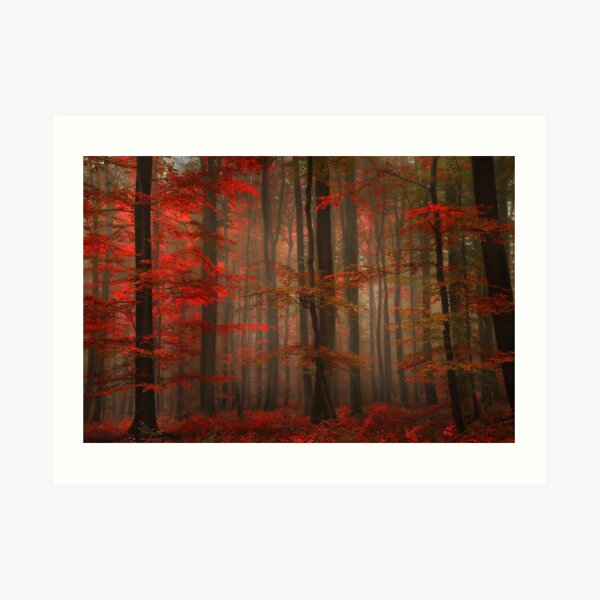 Enchanting Red Art Print