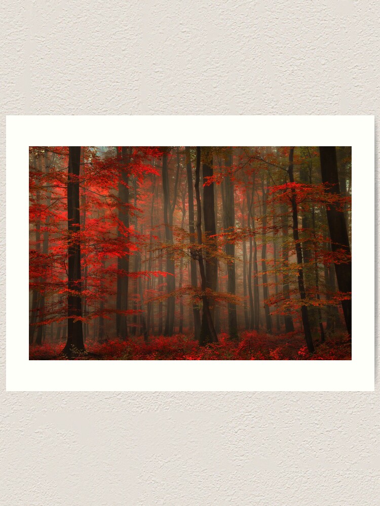 Enchanting Red Art Print By Pilou Redbubble