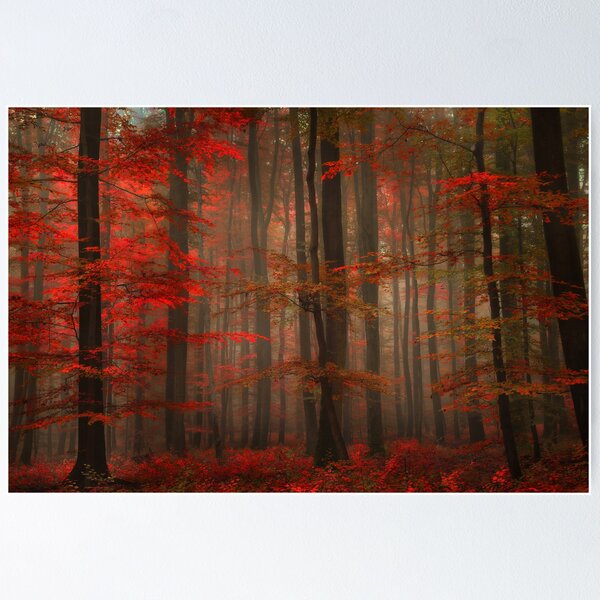 Item preview, Enchanting Red designed and sold by Philippe Sainte-Laudy.