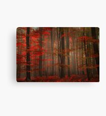 Enchanting Red Canvas Print