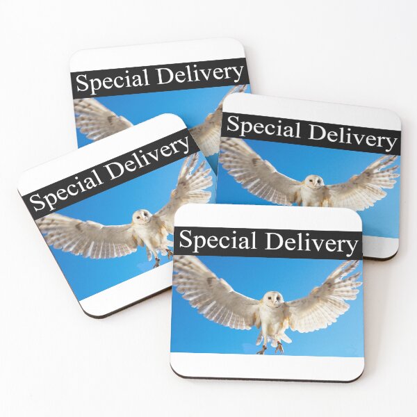 Item preview, Special owl delivery designed and sold by JRHarshman.