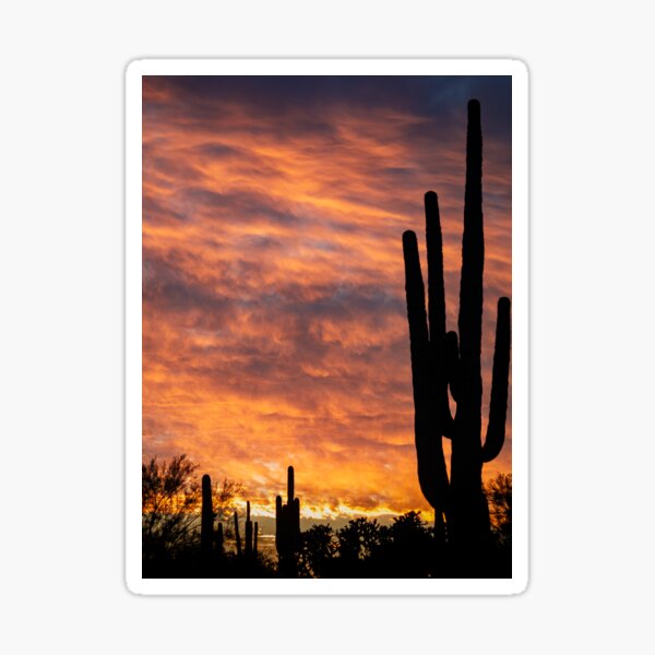 Arizona Sunset Sticker