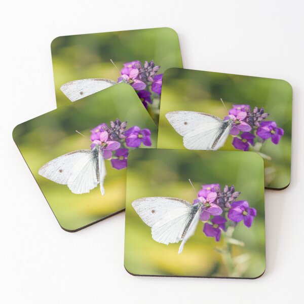 Item preview, A Cabbage White Butterfly on a wallflower in Summer designed and sold by Cameranick.