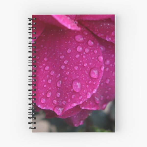 Aperçu de l'œuvre Gouttes de pluie sur les roses créée et vendue par Samuel Schaar.
