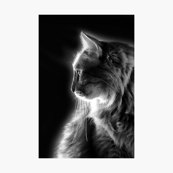 Item preview, She Has A Glow designed and sold by Carolyn  Fletcher.