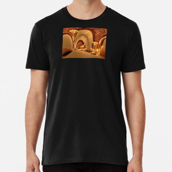 The Long Room Premium T-Shirt