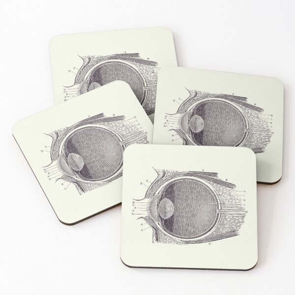 Item preview, Unlabeled Eye Anatomy Diagram - Vintage Anatomy Print 2 designed and sold by VAposters.