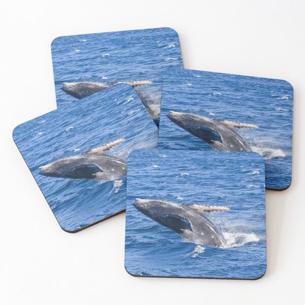 Item preview, Baby Humpback Whale Breaching designed and sold by Miriam Gordon.