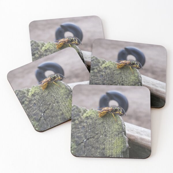 Item preview, Wasp designed and sold by LucySpearing14.