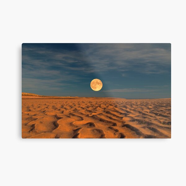 Moon across the Sands Metal Print