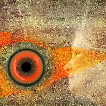 Artwork thumbnail, Fire Look by RosaCobos