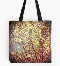 Expectant Tote Bag