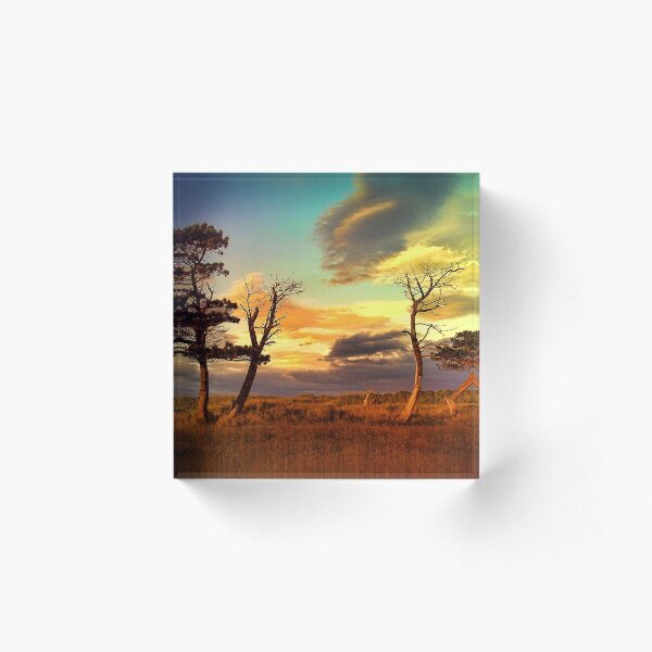 A Midsummer View Acrylic Block