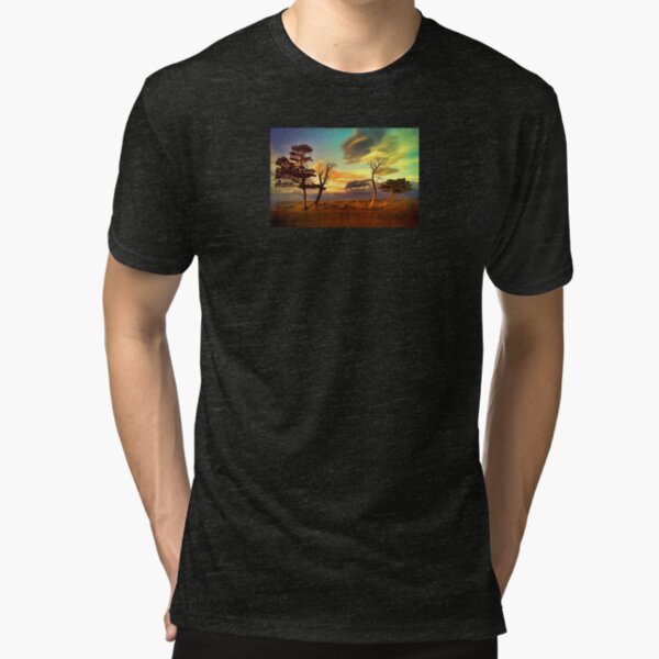 A Midsummer View Tri-blend T-Shirt
