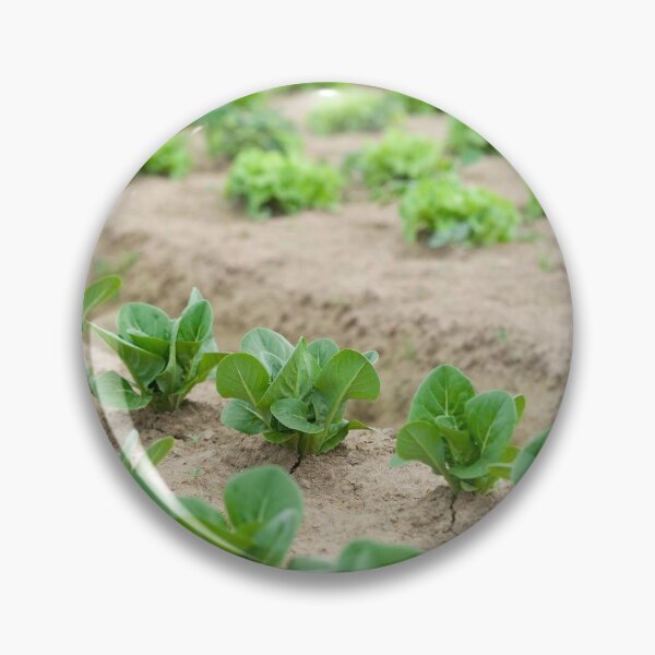 Item preview, Food growing designed and sold by JRHarshman.