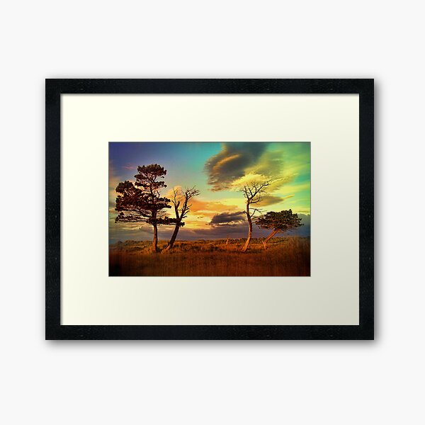 A Midsummer View Framed Art Print