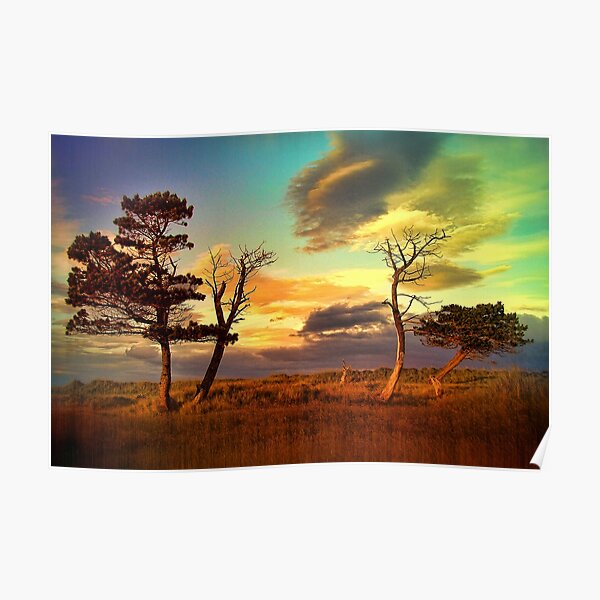A Midsummer View Poster