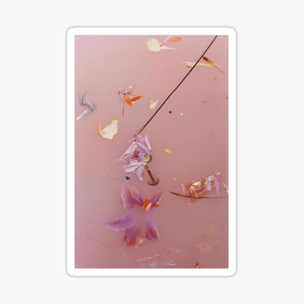 Pink Water Flowers Sticker