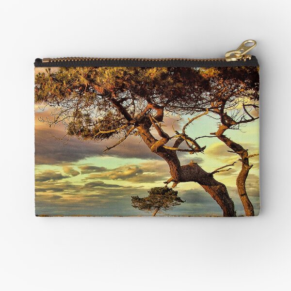 Reach Zipper Pouch