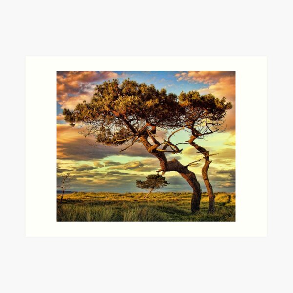 Reach Art Print