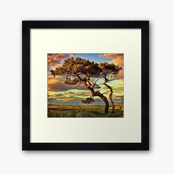 Reach Framed Art Print