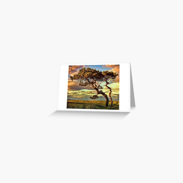 Reach Greeting Card