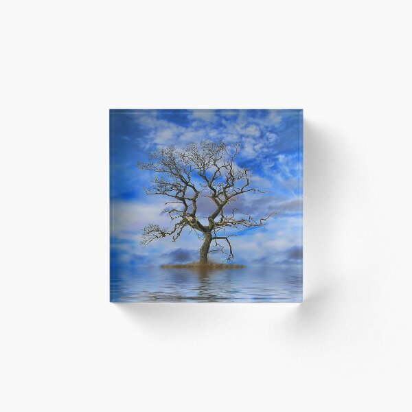 Tree On An Island Acrylic Block