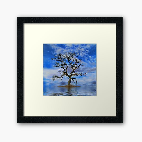 Tree On An Island Framed Art Print