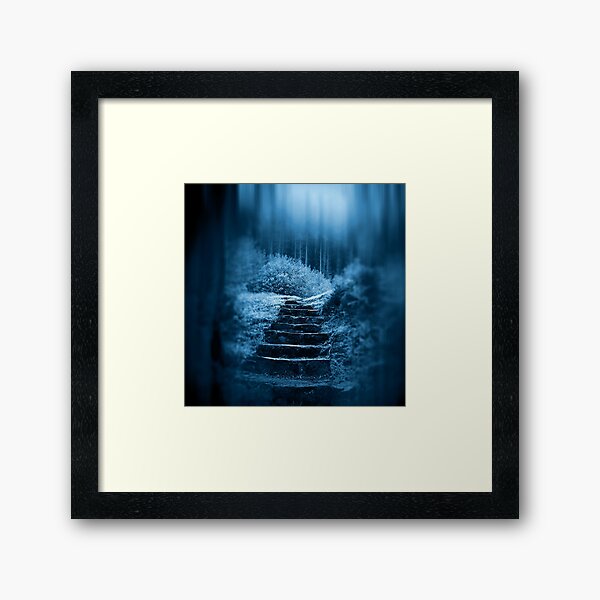 Following the Moon Framed Art Print