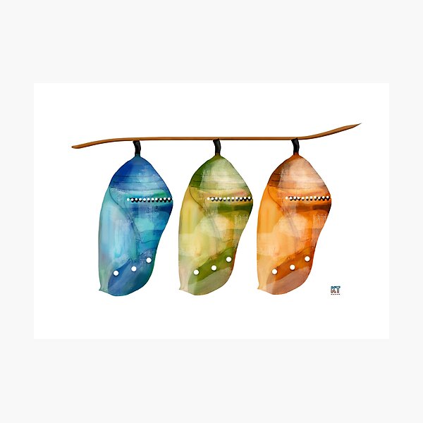 Chrysalis Rainbow Photographic Print