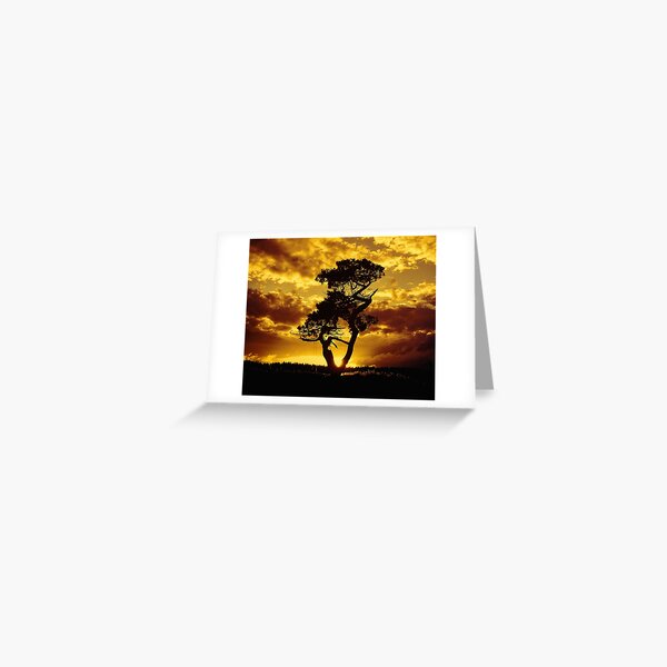 Tree Dance 2 Greeting Card