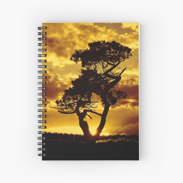 Tree Dance 2 Spiral Notebook