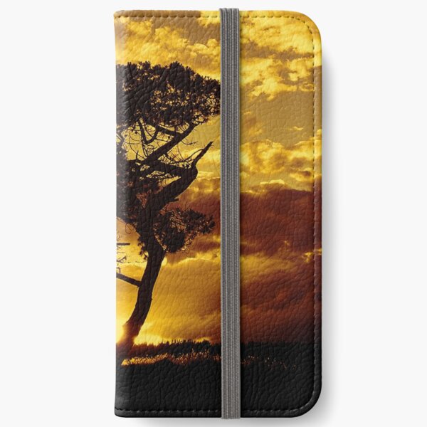 Tree Dance 2 iPhone Wallet