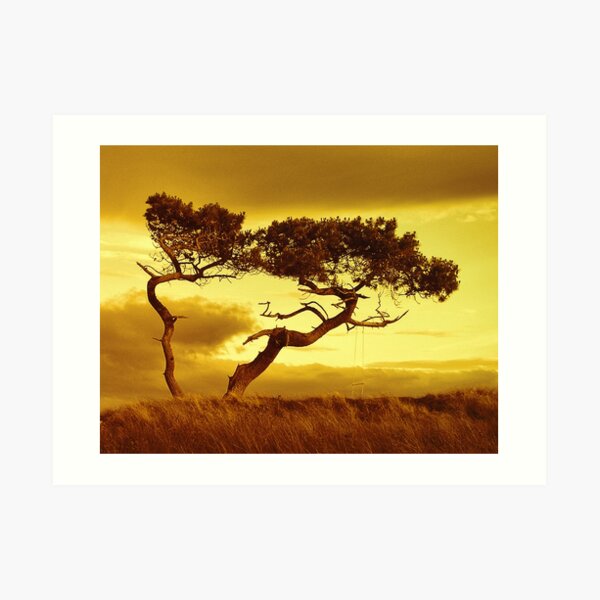 Tree Dance Art Print