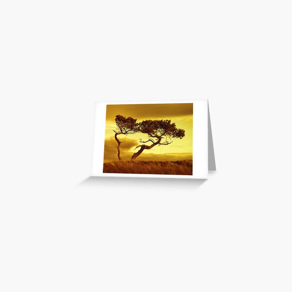 Tree Dance Greeting Card