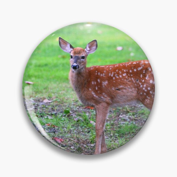 Item preview, Whitetail fawn designed and sold by Enola Gay Wagner.