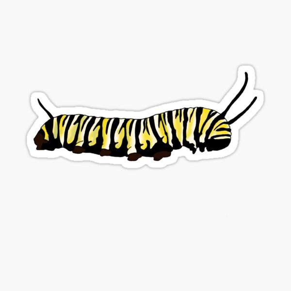 Artikel-Vorschau von Monarch Caterpillar, designt und verkauft von sammyslammah.