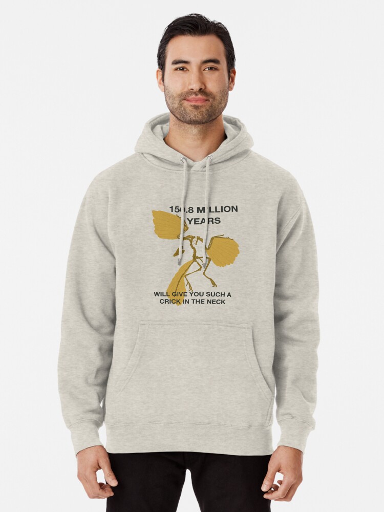 archaeopteryx pullover hoody men's