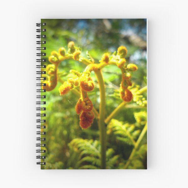 Aperçu de l'œuvre Ferny Growth créée et vendue par GriffMAD.