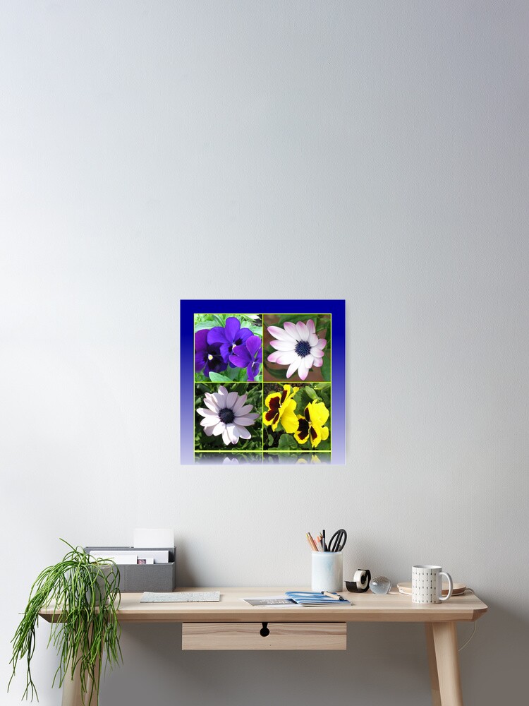 Thumbnail 2 von 3, Poster, Pretty Pansies and Cute Cape Daisies Floral Collage designt und verkauft von BlueMoonRose.
