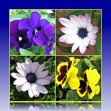 Vorschaubild zum Design Pretty Pansies and Cute Cape Daisies Floral Collage von BlueMoonRose