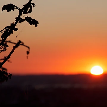 Artwork thumbnail, Last Rays by Darren Clarke