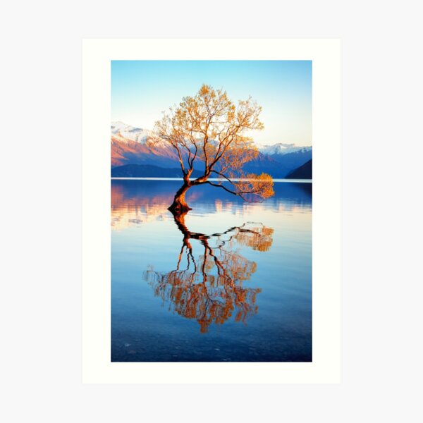 Ese árbol de wanaka Lámina artística