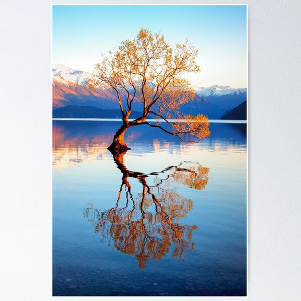 Artikel-Vorschau von Dieser Wanaka-Baum, designt und verkauft von Adrian Greig.