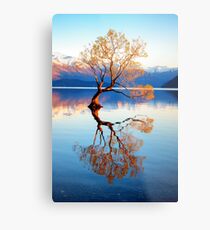 That Wanaka Tree Metal Print